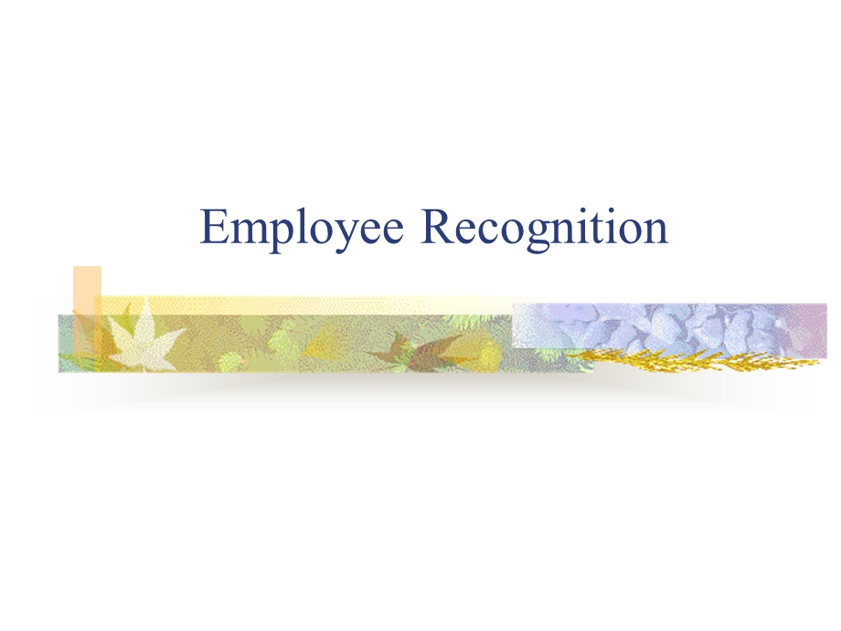 Employee Recognition Program.ppt_第1页