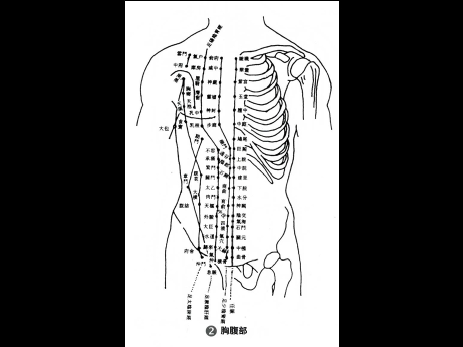 人体108要害穴位全彩图.ppt_第3页