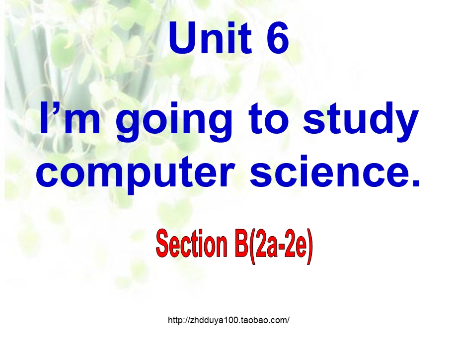 2013人教版新目标英语八年级上Unit6 I&#39;m going to study computer scienceSectionB2a-2e.ppt_第1页