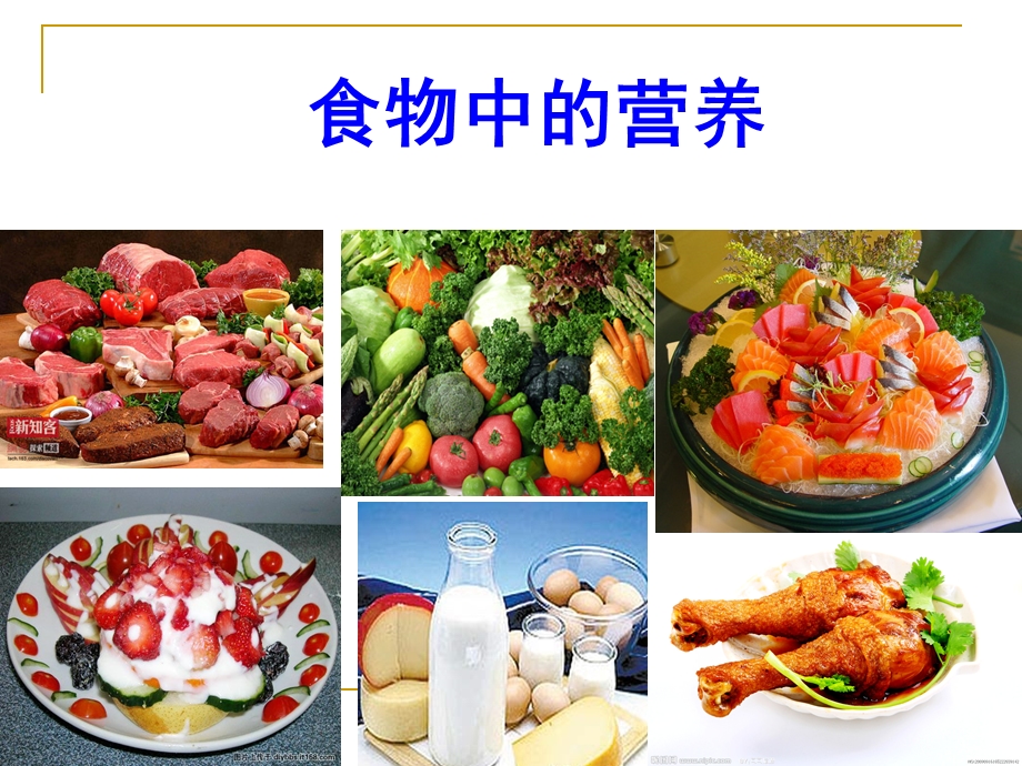 教科版小学科学四级下册《食物中的营养》课件ppt.ppt_第1页