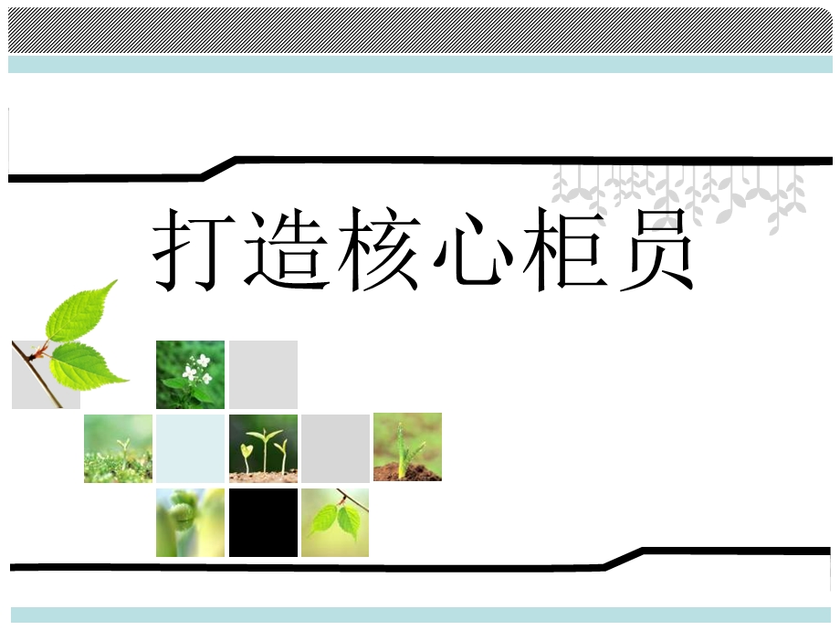 银行保险衔接训练打造核心柜员.ppt_第1页