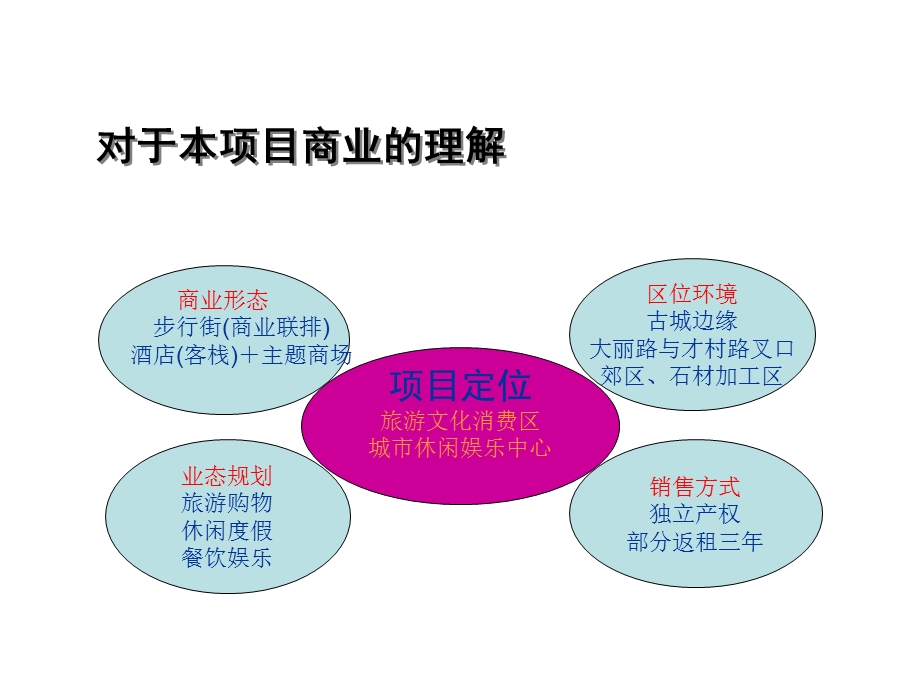 某大型商业项目整体策划方案.ppt_第2页