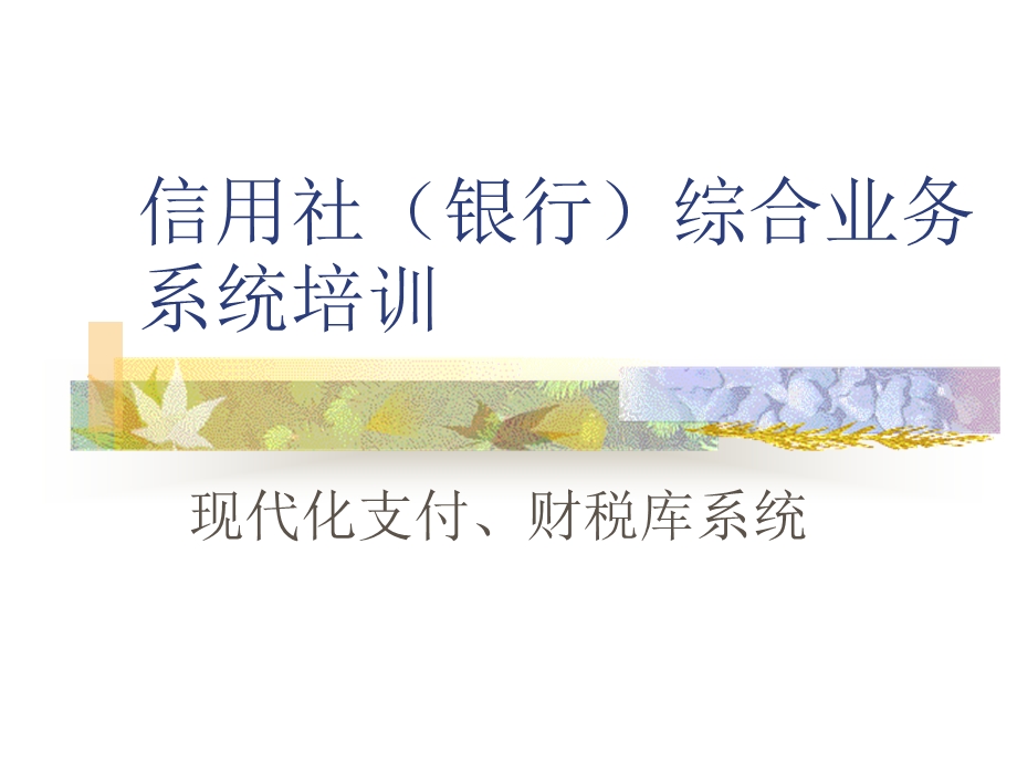 信用社（银行）综合业务系统培训：现代化支付、财税库系统.ppt_第1页