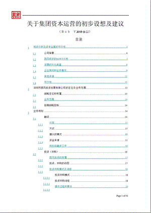 关于集团资本运营的整体构想及建议.ppt