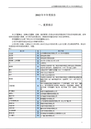 美晨科技：半报告.ppt