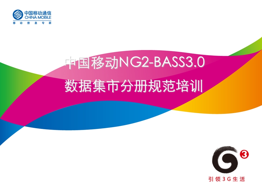 NG2BASS3&#46;0规范培训数据集市.ppt_第1页