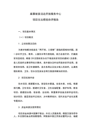 麻栗坡县沿边开放服务中心项目支出绩效自评报告.docx