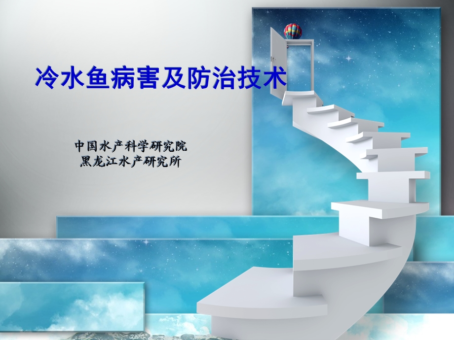 虹鳟鱼疾病的防治修改.ppt_第1页