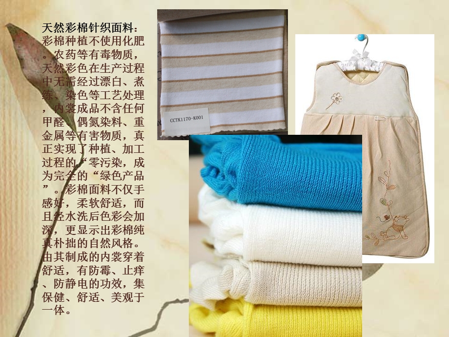 女性内衣设计精品教程.ppt_第3页