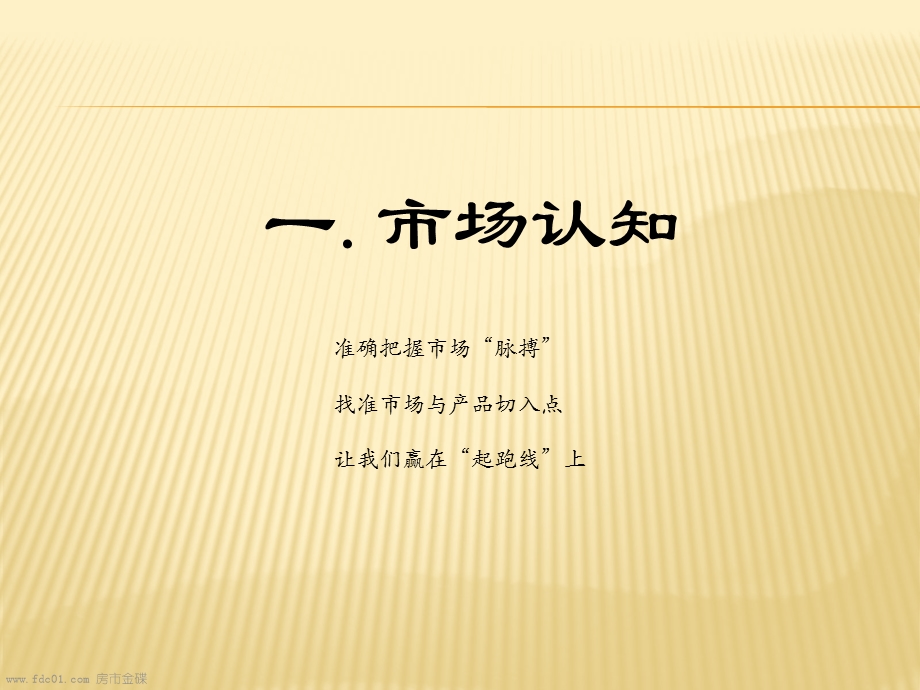 徐州市铜山新区财富湾项目营销策划执行报告120页.ppt_第3页