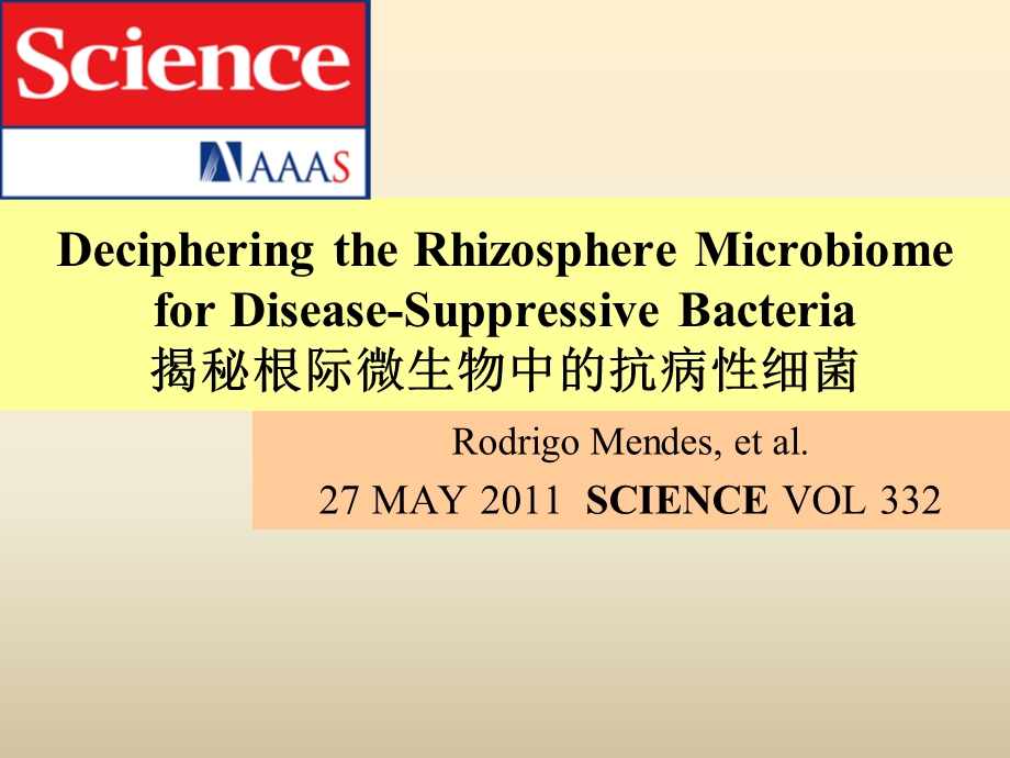 读书报告11揭秘根际微生物中的抗病性细菌.ppt_第1页