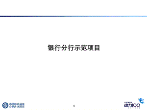 银行分行示范项目.ppt