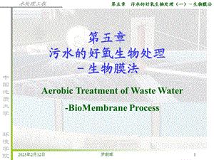 水污染控制工程中国地质大学ppt第05章污水的好氧生物处理生物膜法.ppt