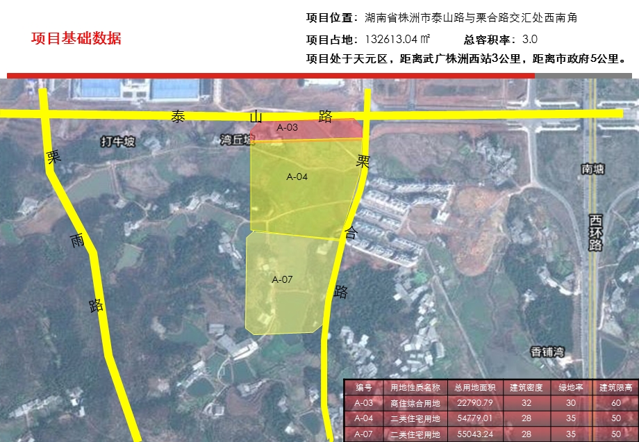 2011株洲泰山路项目策划思路85p(2).ppt_第3页