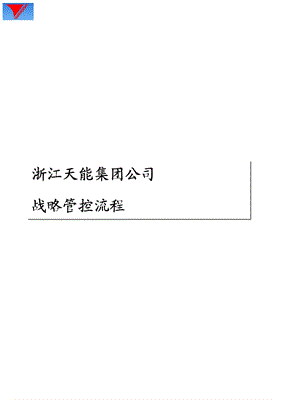 集团战略管控流程汇编.ppt