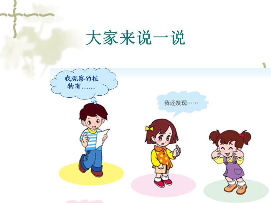 青岛版小学科学《我们周围的动植物》PPT.ppt_第2页