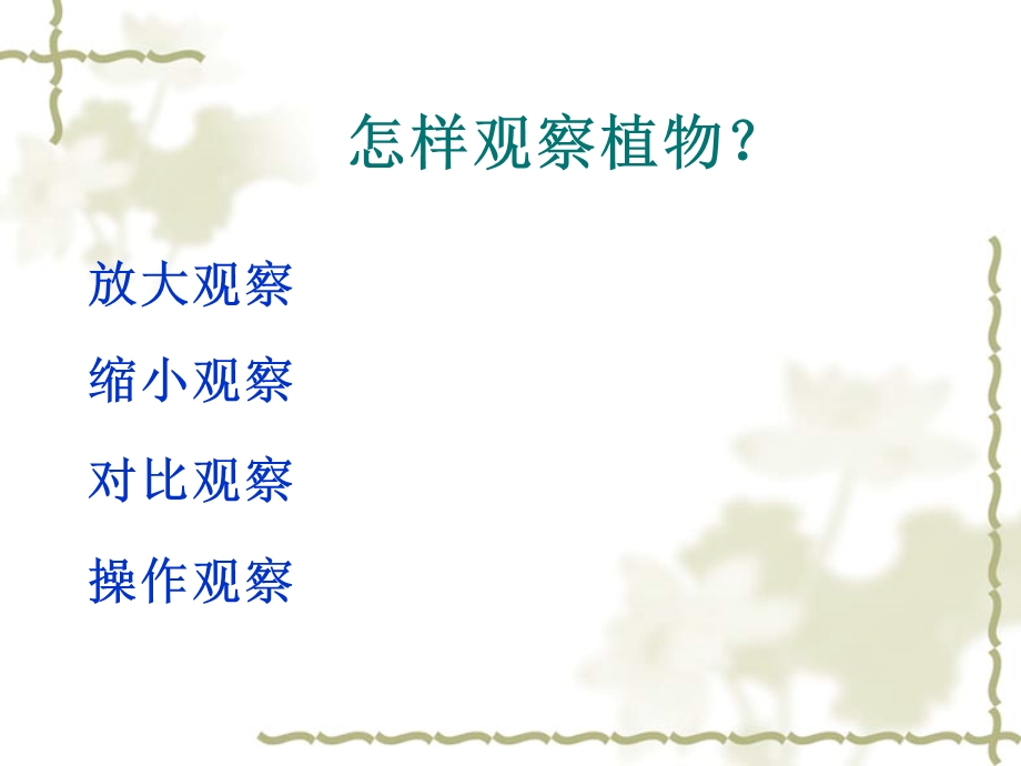 青岛版小学科学《我们周围的动植物》PPT.ppt_第3页