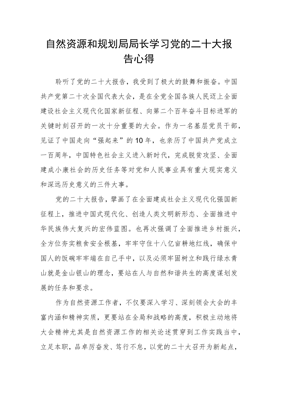 自然资源和规划局局长学习党的二十大报告心得.docx_第1页