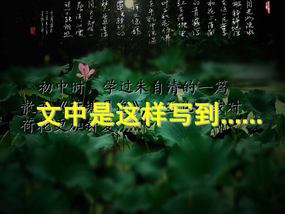 【荷塘夏绿】超级精美动态ppt作品.ppt_第2页