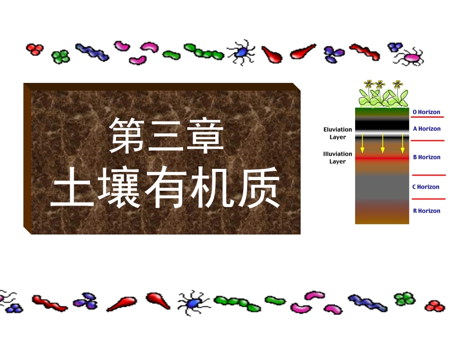 土壤学第三章土壤有机质.ppt_第1页