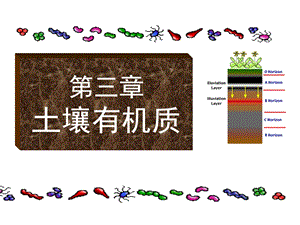 土壤学第三章土壤有机质.ppt