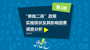 二胎政策实施情况的调查报告.ppt