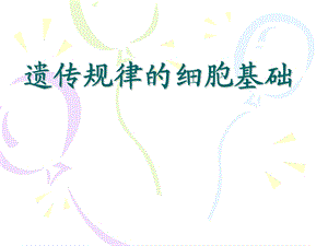 人教版高中生物《遗传规律的细胞基础》精品课件.ppt