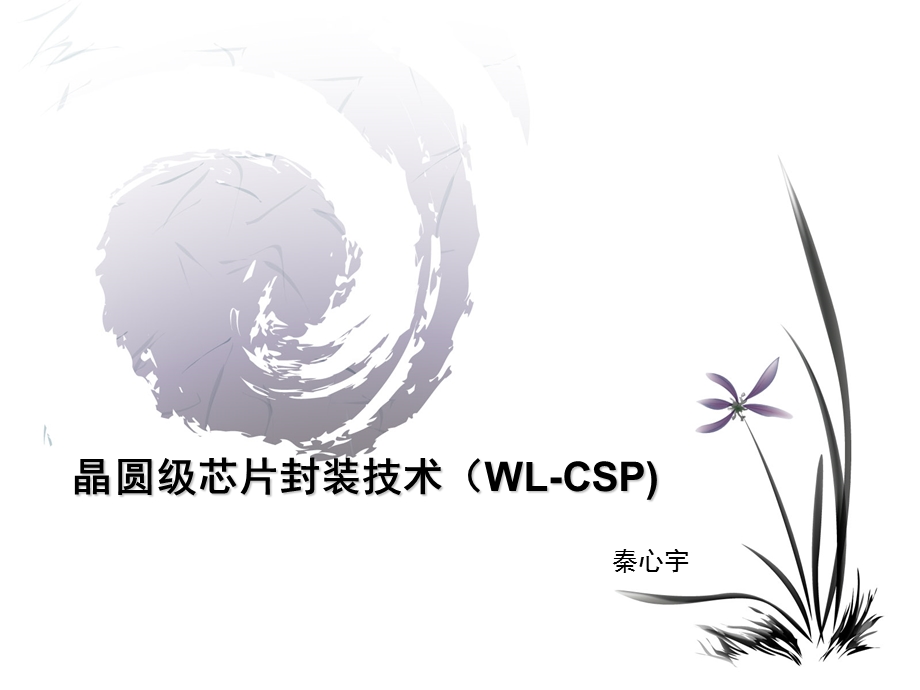 晶圆级芯片封装技术.ppt_第1页