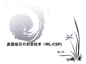 晶圆级芯片封装技术.ppt