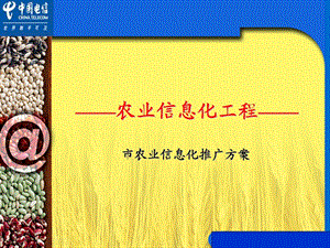 某市农业信息化推广方案.ppt