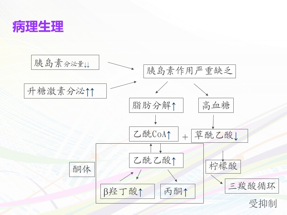 糖尿病酮症酸中毒1.ppt_第3页