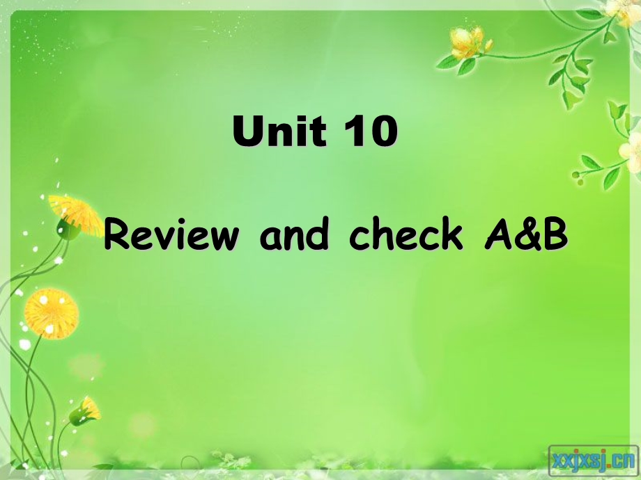 译林版牛津小学英语 5A　Unit10　Review and check A&B.ppt_第1页