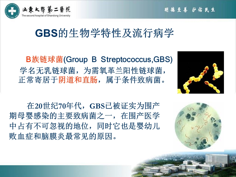 GBS与妊娠结局及预防.ppt_第2页