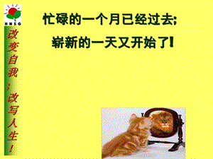 生猪预混料销售.ppt