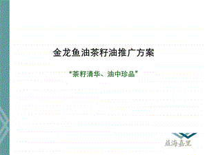 油茶籽油1112月推广方案.ppt