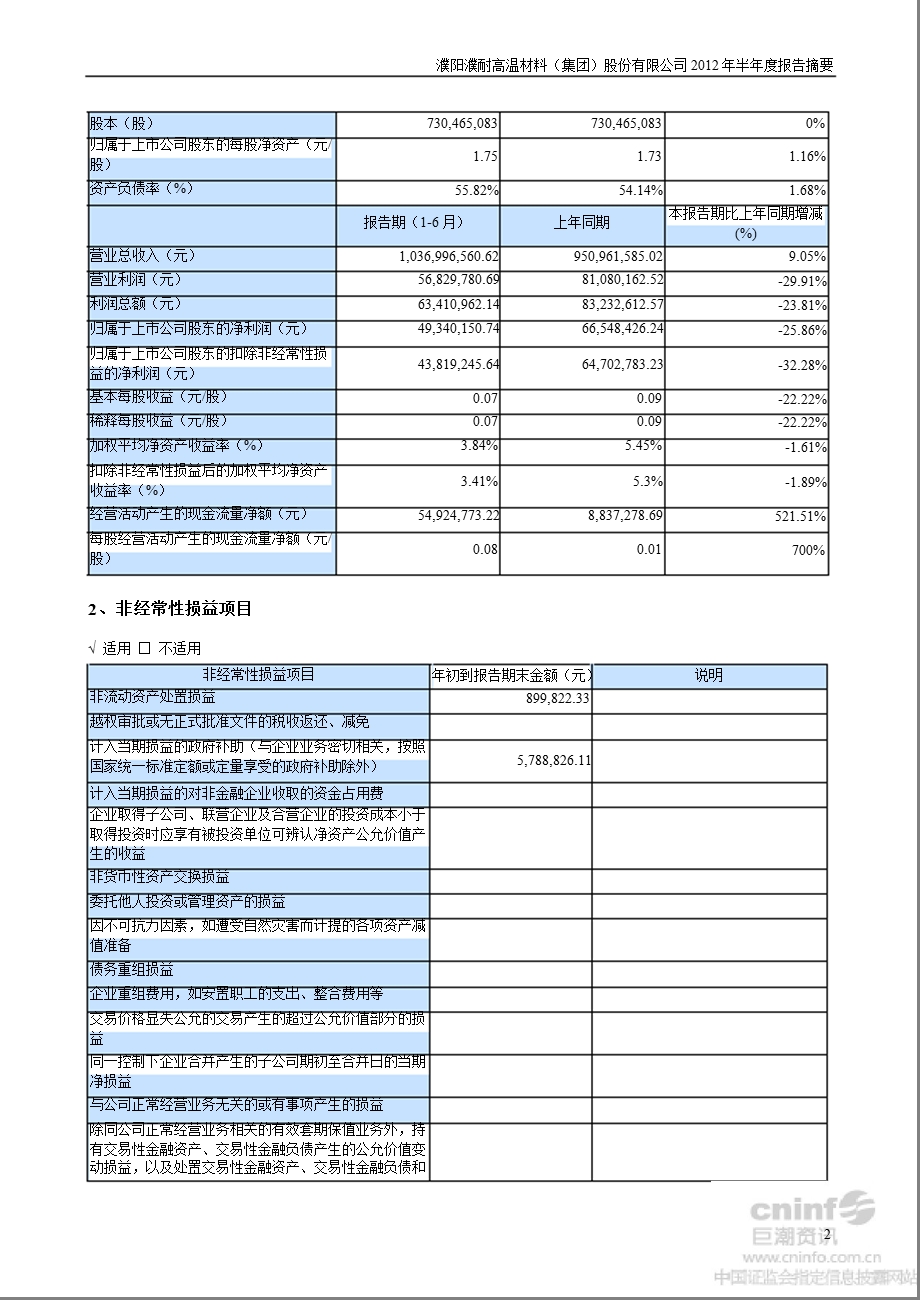 濮耐股份：半报告摘要.ppt_第2页