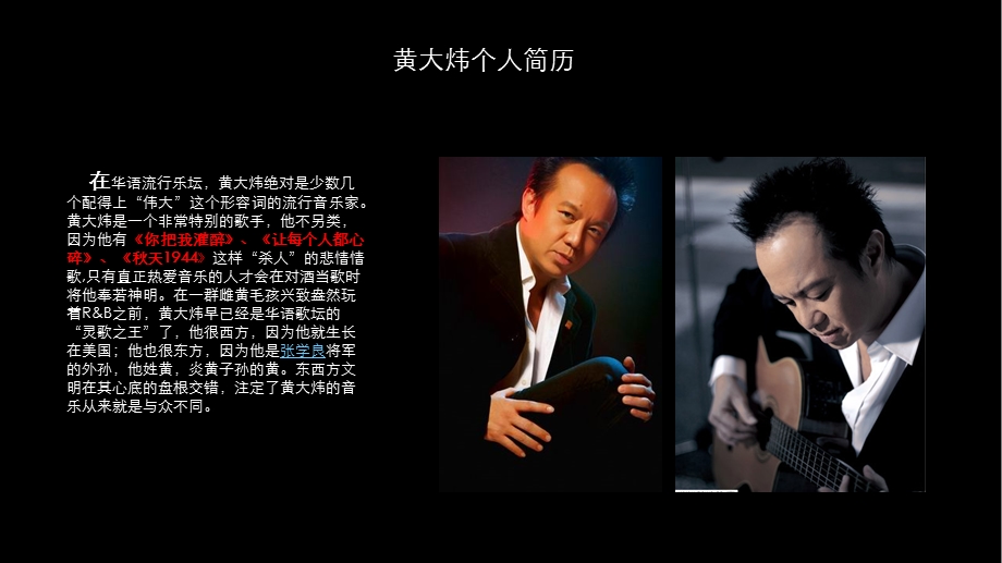 黄大炜2009年音乐会招商方案(1).ppt_第3页