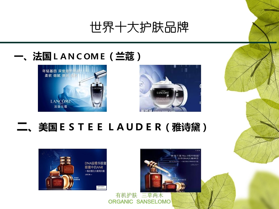 化妆品及有机护肤常识.ppt_第3页