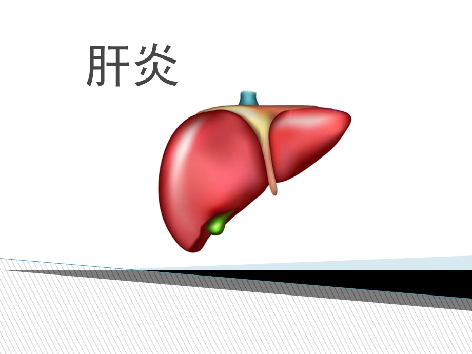 食疗保健肝炎.ppt_第1页