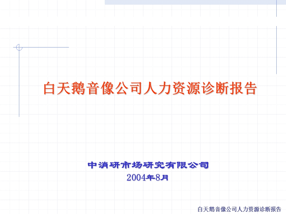 白天鹅音像公司人力资源诊断报告.ppt_第1页