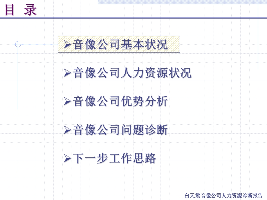 白天鹅音像公司人力资源诊断报告.ppt_第3页