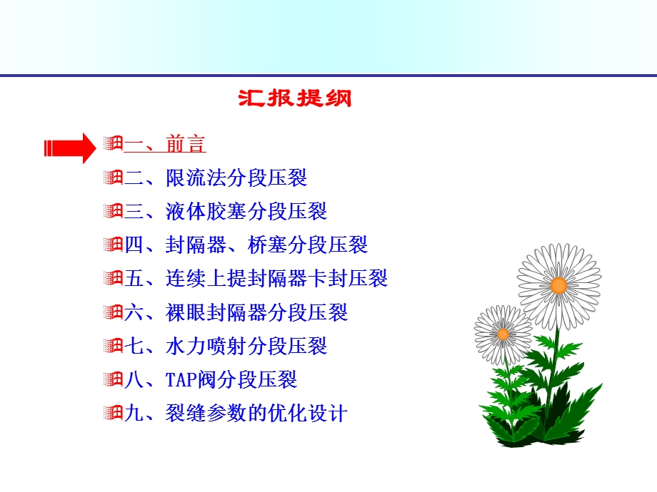 水平井压裂改造工艺技术介0110511.ppt_第2页