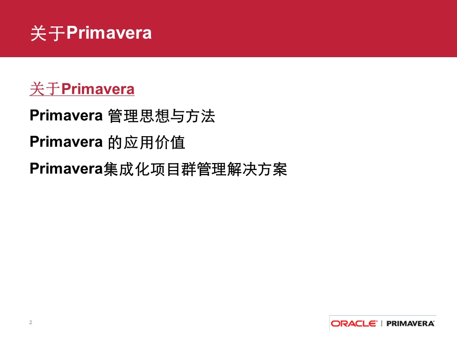 Primavera 解决方案100308.ppt_第2页