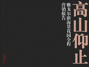 天启开启1月宁波雅戈尔新海景花园全程营销报告.ppt