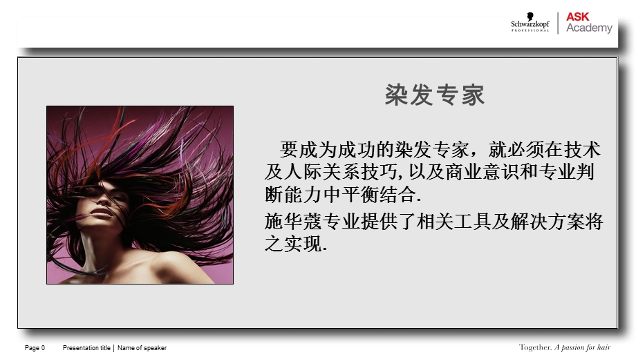 2012染发专家二.ppt_第1页