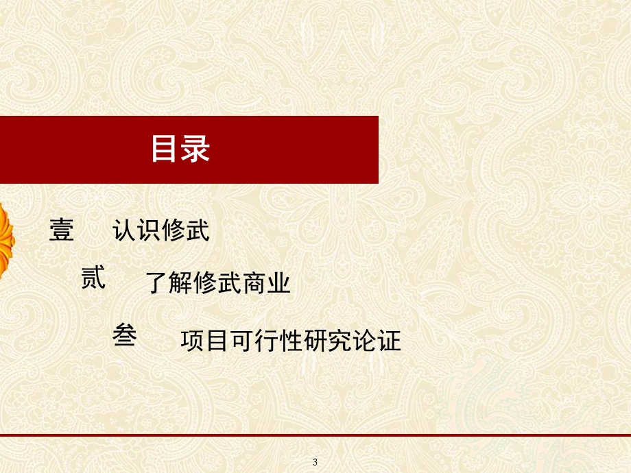 河南修武县商业步行街项目调查报告.ppt_第3页