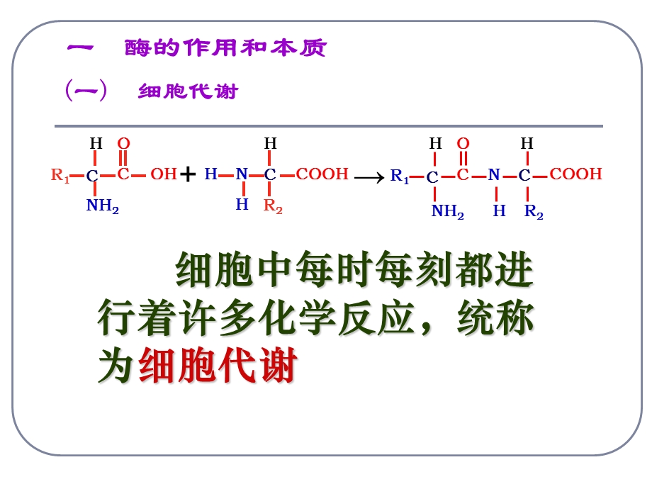 1454418910酶的作用和本质.ppt.ppt_第3页