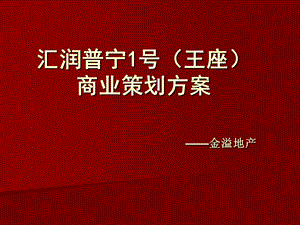 汇润普宁1号(王座)商业策划方案.ppt.ppt