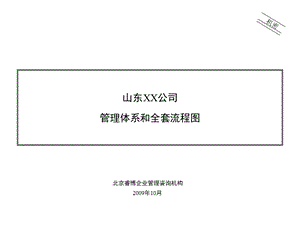 某股份公司管理体系和全套管理流程图(ppt 82页).ppt