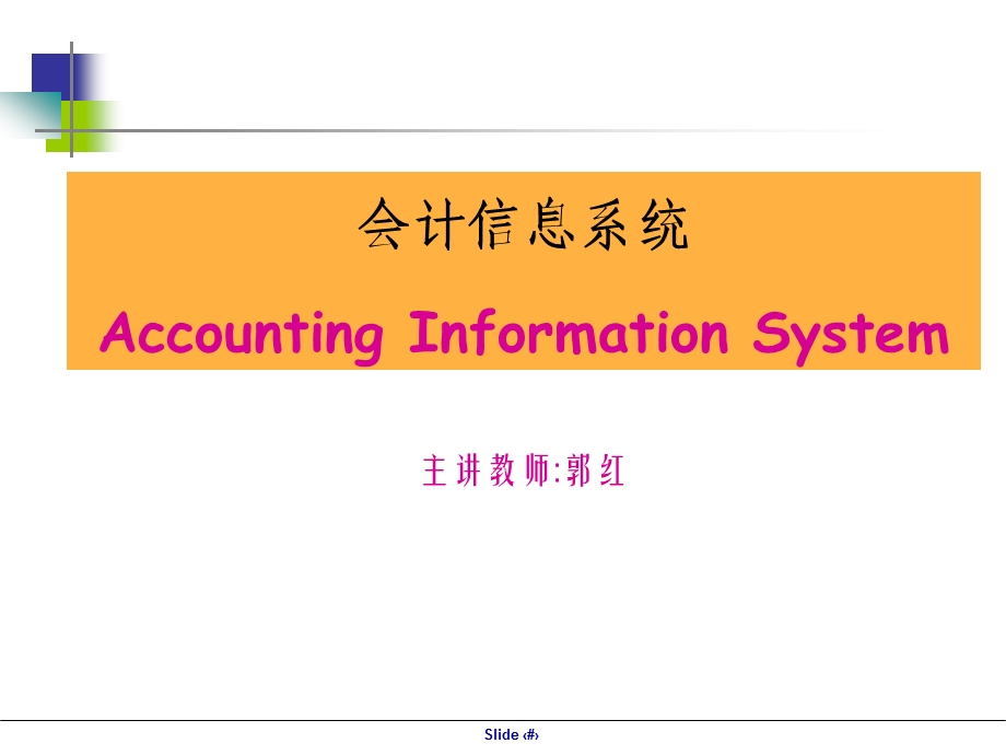 [财务管理]会计信息系统(ppt 47页).ppt_第2页